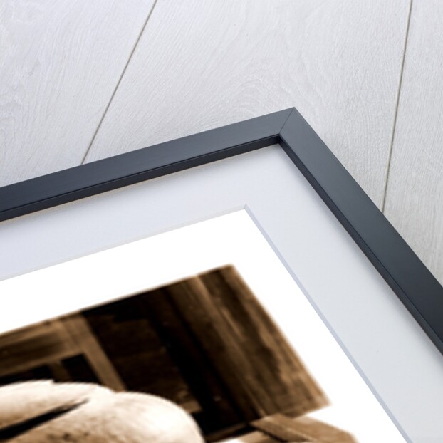 Campania Caserta Capua Museo Campano by Anonymous