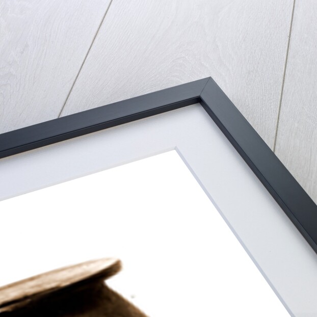 Campania Caserta Capua Museo Campano by Anonymous