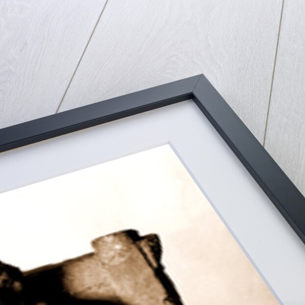 Campania Caserta Capua Museo Campano by Anonymous