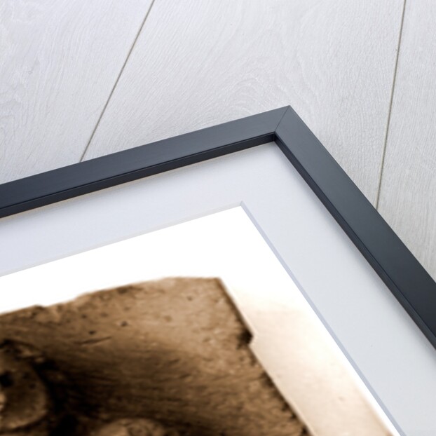 Campania Caserta Capua Museo Campano by Anonymous