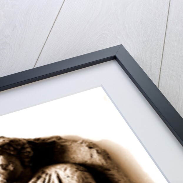 Campania Caserta Capua Museo Campano by Anonymous