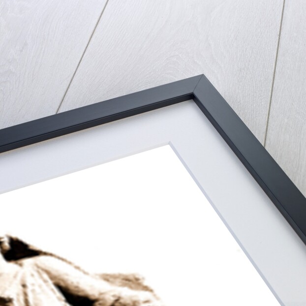 Campania Caserta Capua Museo Campano by Anonymous