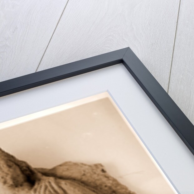 Campania Caserta Capua Museo Campano by Anonymous