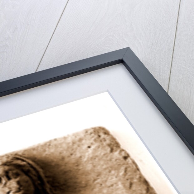 Campania Caserta Capua Museo Campano by Anonymous