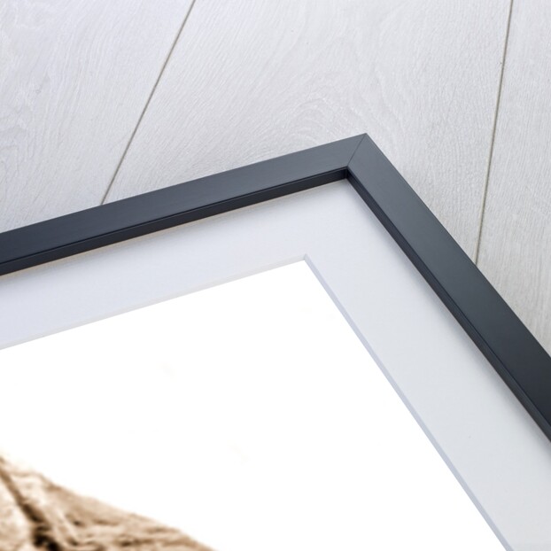 Campania Caserta Capua Museo Campano by Anonymous