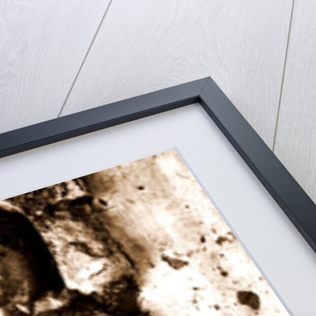 Campania Caserta Capua Museo Campano by Anonymous