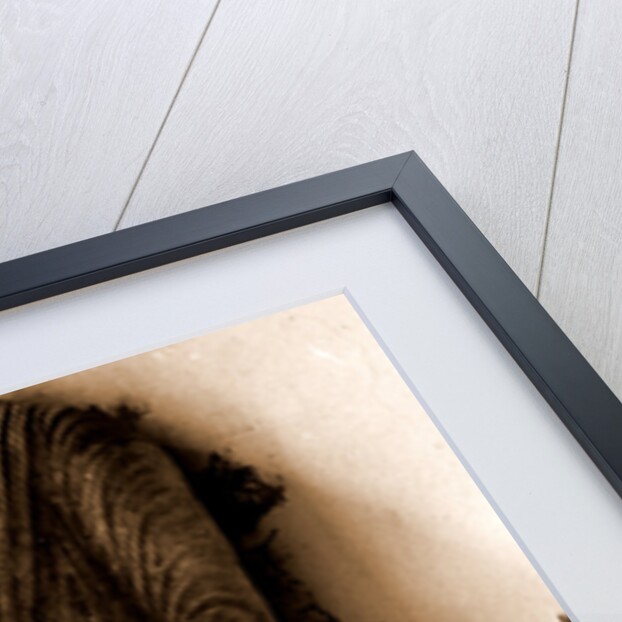 Campania Caserta Capua Museo Campano by Anonymous