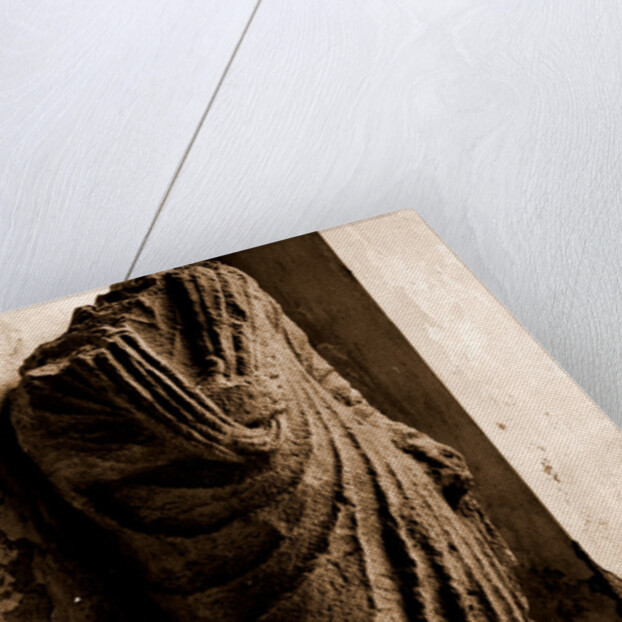 Campania Caserta Capua Museo Campano by Anonymous