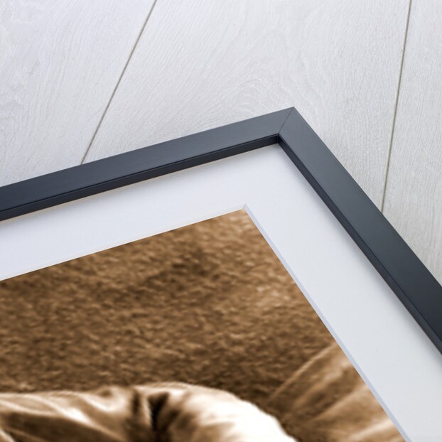 Campania Caserta Capua Museo Campano by Anonymous