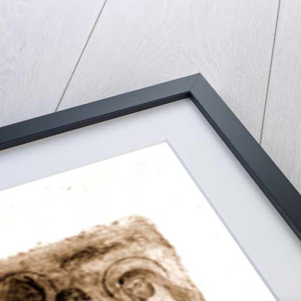 Campania Caserta Capua SS. Rufo e Carponio by Anonymous