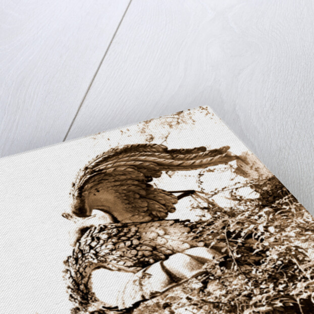 Campania Caserta Carditello Plazzo Reale by Anonymous