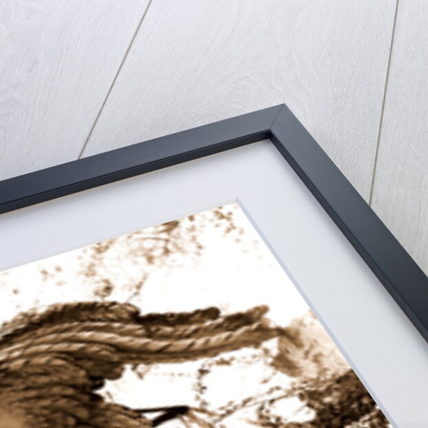 Campania Caserta Carditello Plazzo Reale by Anonymous