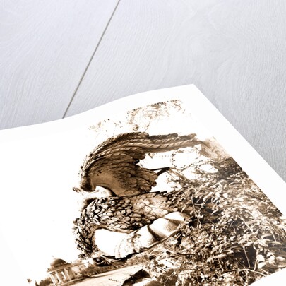 Campania Caserta Carditello Plazzo Reale by Anonymous