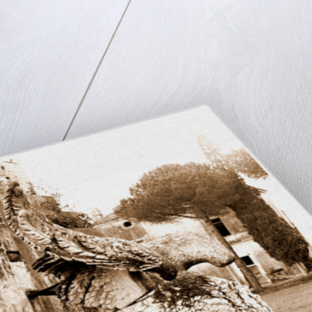 Campania Caserta Carditello Plazzo Reale by Anonymous