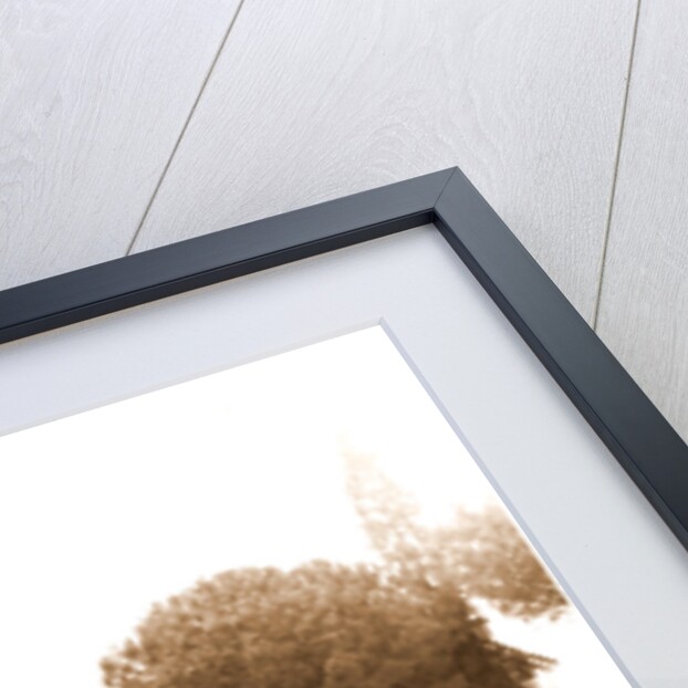 Campania Caserta Carditello Plazzo Reale by Anonymous