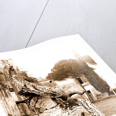 Campania Caserta Carditello Plazzo Reale by Anonymous