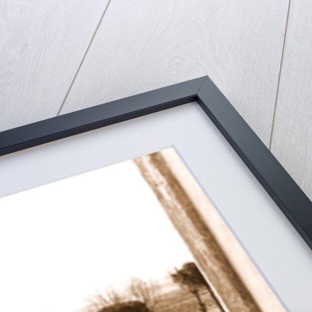 Campania Caserta Carditello Plazzo Reale by Anonymous