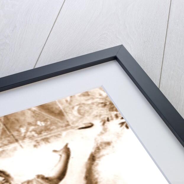 Campania Caserta Carditello Plazzo Reale by Anonymous