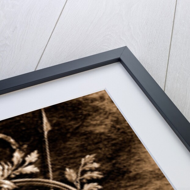 Campania Caserta Carditello Plazzo Reale by Anonymous