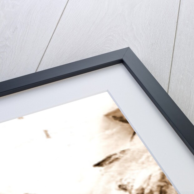 Campania Caserta Carditello Plazzo Reale by Anonymous