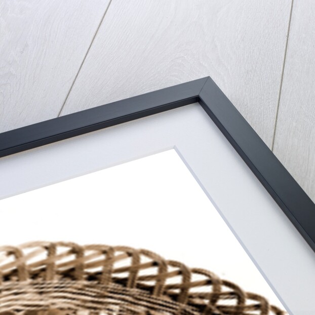 Campania Caserta Carditello Plazzo Reale by Anonymous