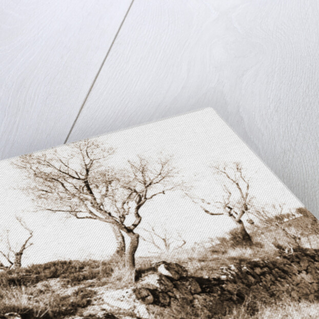 General views, Alba Fucens, Abruzzo by Anonymous