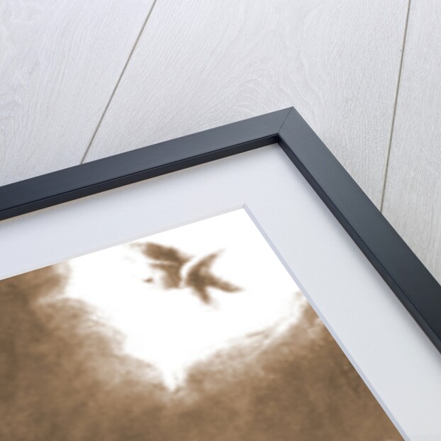 Museo Nazionale d'Abruzzo, L'Aquila, L'Aquila, Abruzzo by Anonymous