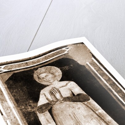 S. Maria di Collemaggio, L'Aquila, Abruzzo by Anonymous