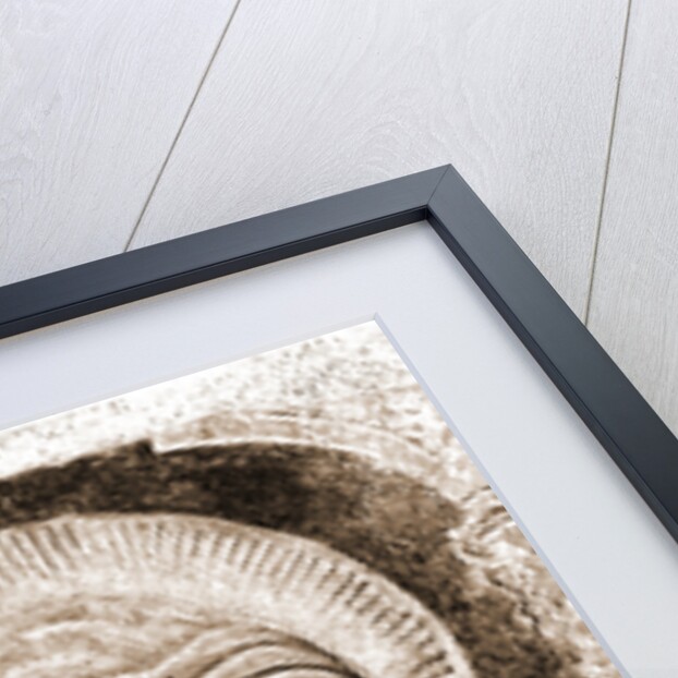 Museum, Celano, L'Aquila, Abruzzo by Anonymous