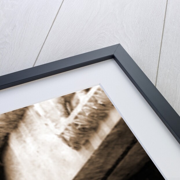 S. Maria Valleverde, Celano, L'Aquila, Abruzzo by Anonymous