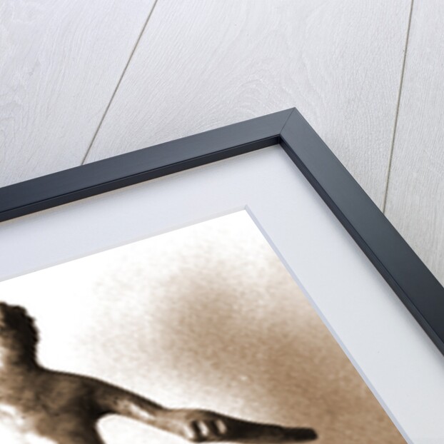 Museo Nazionale di Antichita, Chieti, Chieti, Abruzzo by Anonymous
