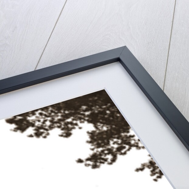 Torre, Monticchio, L'Aquila, Abruzzo by Anonymous