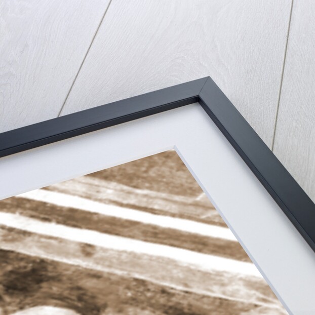 Palazzo Vescovile, Penne, Pescara, Abruzzo by Anonymous