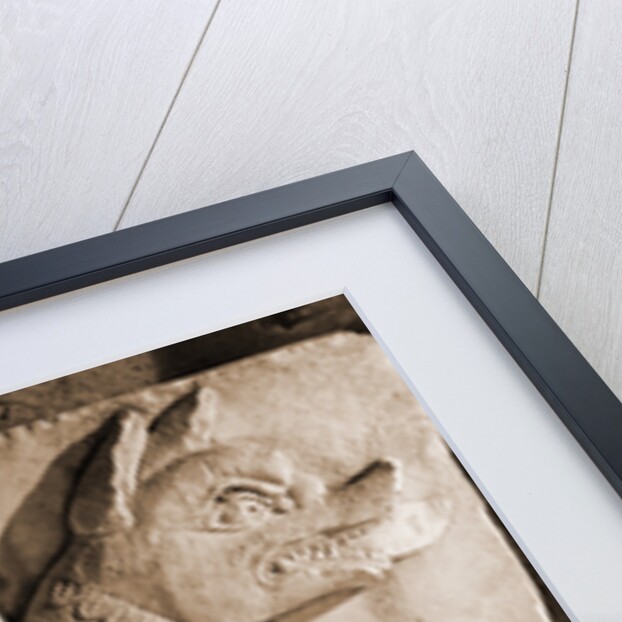 Palazzo Vescovile, Penne, Pescara, Abruzzo by Anonymous