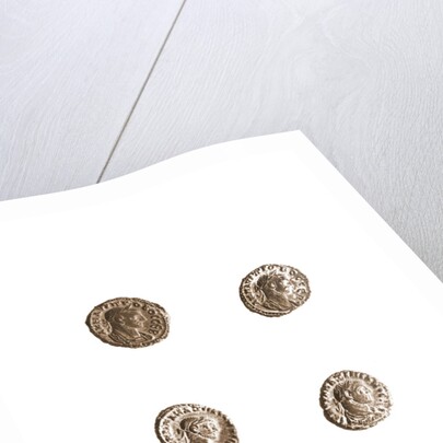 Museo, S. Giuliano, L'Aquila, Abruzzo by Anonymous