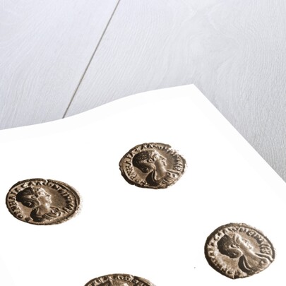 Museo, S. Giuliano, L'Aquila, Abruzzo by Anonymous
