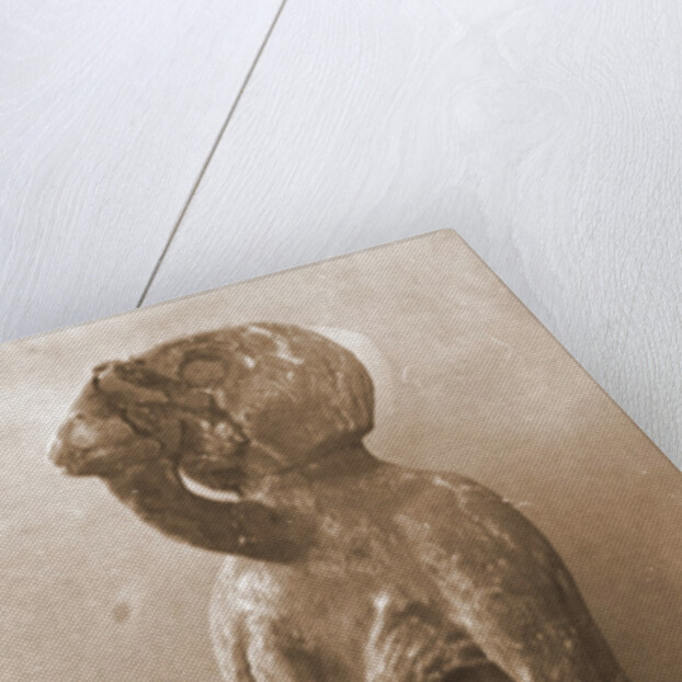Museo, S. Giuliano, L'Aquila, Abruzzo by Anonymous