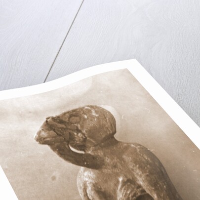 Museo, S. Giuliano, L'Aquila, Abruzzo by Anonymous