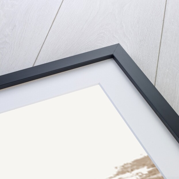 View towards Guadaloupe from cathedral, City of Mexico, Mex, Jackson, Cathedrals, Mexico, Mexico City, 1880 by William Henry