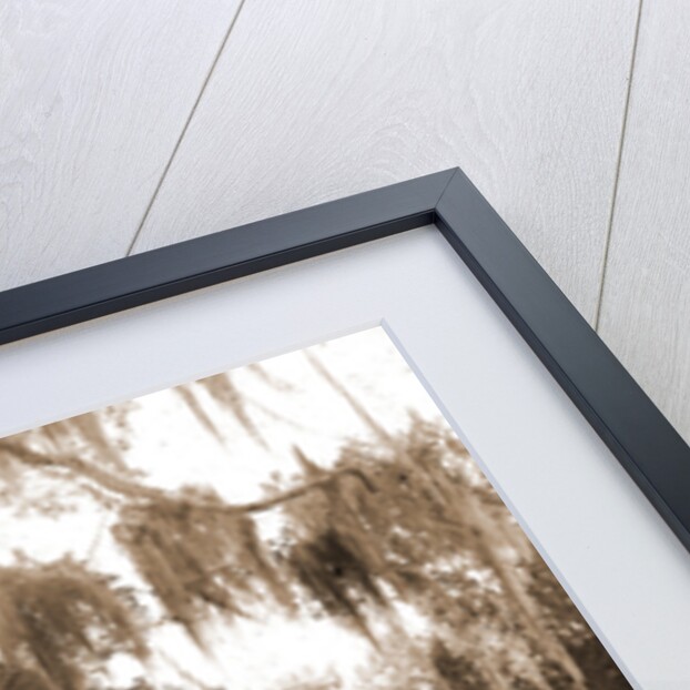 Road to Bostrom's, Ormond, Jackson, Roads, United States, Florida, Ormond Beach, 1880 by William Henry