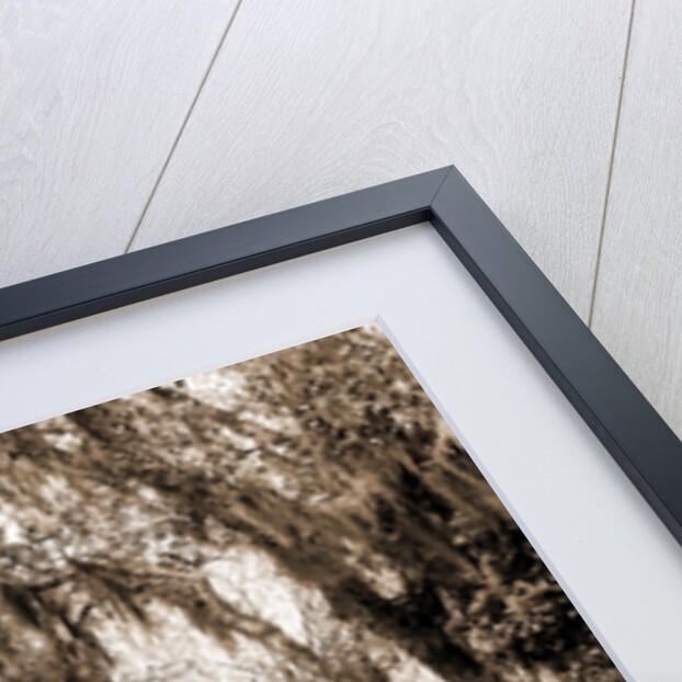 Orange pickers, Ormond, Fla, Jackson, Orange orchards, Harvesting, Thatched roofs, United States, Florida, Ormond Beach, 1880 by William Henry