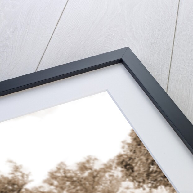 The Hammock Road near Ormond, Jackson, Roads, United States, Florida, Ormond Beach, 1880 by William Henry