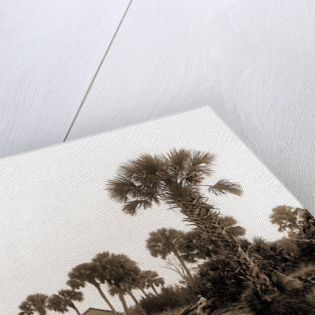 Ross Point on the Halifax, Fla, Jackson, Capes (Coasts), Rivers, United States, Florida, Halifax River, 1880 by William Henry