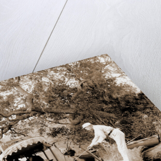 On the Tomoka, Jackson, Steamboats, Waterfronts, Rivers, United States, Florida, Tomoka River, 1880 by William Henry