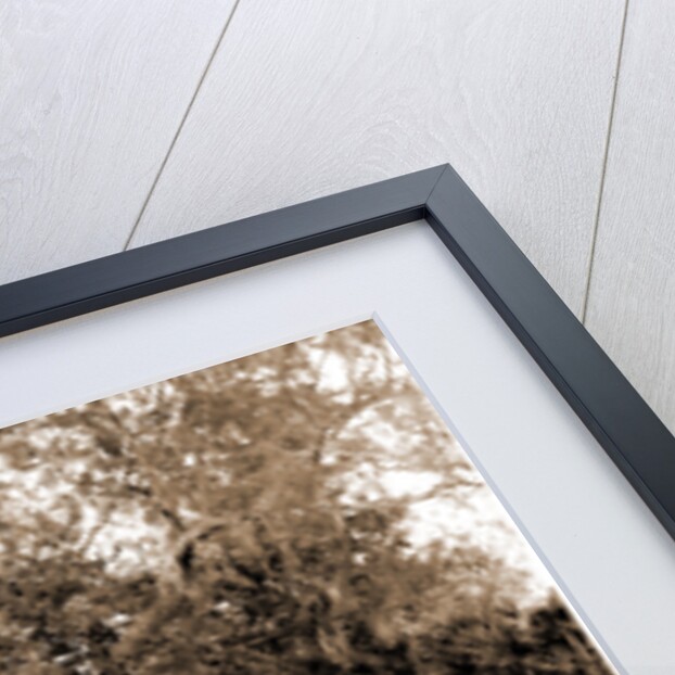 On the Tomoka, Jackson, Steamboats, Waterfronts, Rivers, United States, Florida, Tomoka River, 1880 by William Henry