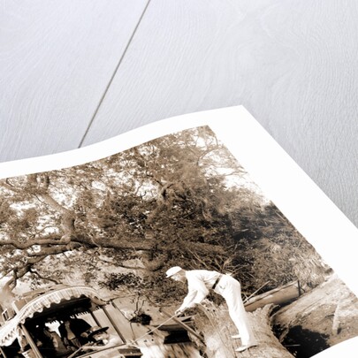 On the Tomoka, Jackson, Steamboats, Waterfronts, Rivers, United States, Florida, Tomoka River, 1880 by William Henry