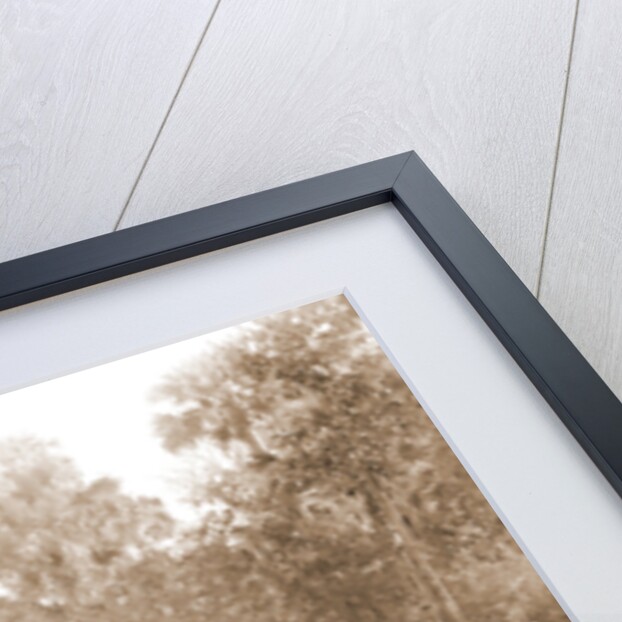 On the Tomoka, Jackson, Tourist trade, Rivers, Alligator hunting, United States, Florida, Tomoka River, 1880 by William Henry