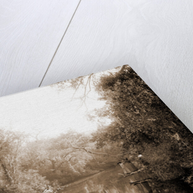 Boating on the Tomoka, Jackson, Steamboats, Rivers, United States, Florida, Tomoka River, 1880 by William Henry