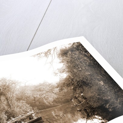 Boating on the Tomoka, Jackson, Steamboats, Rivers, United States, Florida, Tomoka River, 1880 by William Henry