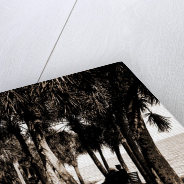 The walk at Rockledge, Indian River, Jackson, Hotels, Trails & paths, Waterfronts, Bays, United States, Florida, Indian River, 1880 by William Henry